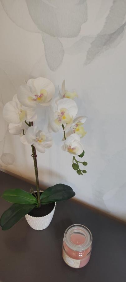 Be My Guest - Krucza Elegant Apartment - Rondo De Gaulle'A Center Of Warsaw Metro Wi-Fi Breakfast エクステリア 写真